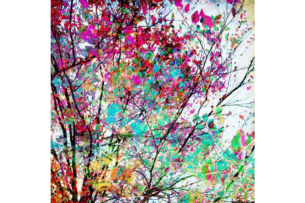 Nature's Palette-Wall_Art-Pixalot