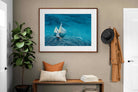 Pixalot ® Nautical