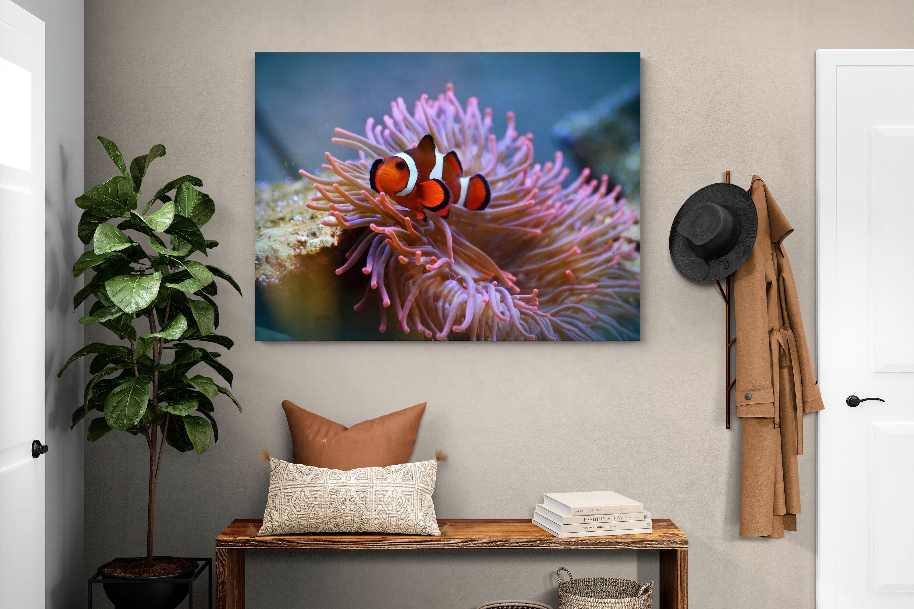 Pixalot Nemo