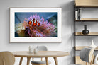 Pixalot Nemo