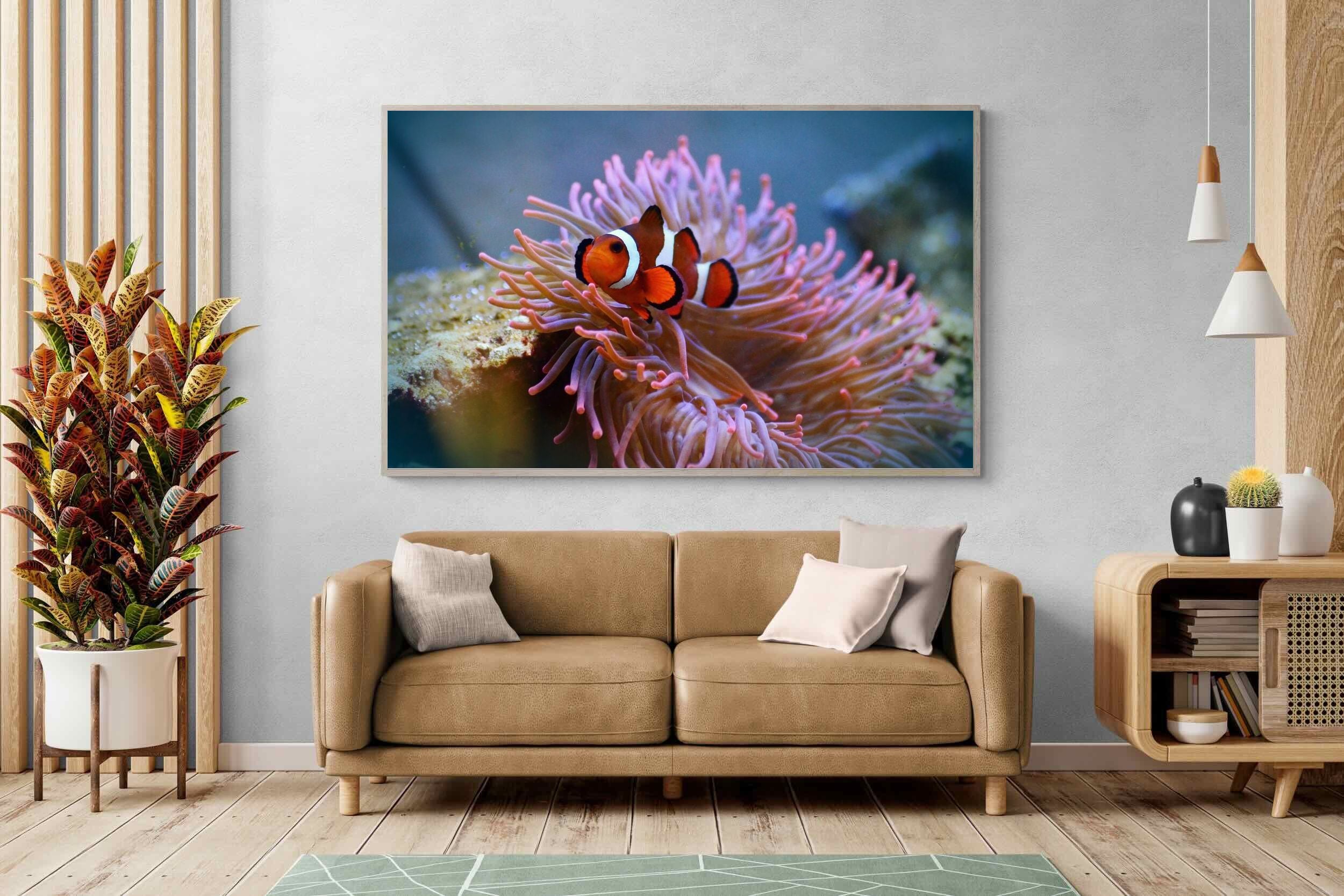 Pixalot Nemo