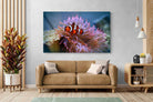 Pixalot Nemo