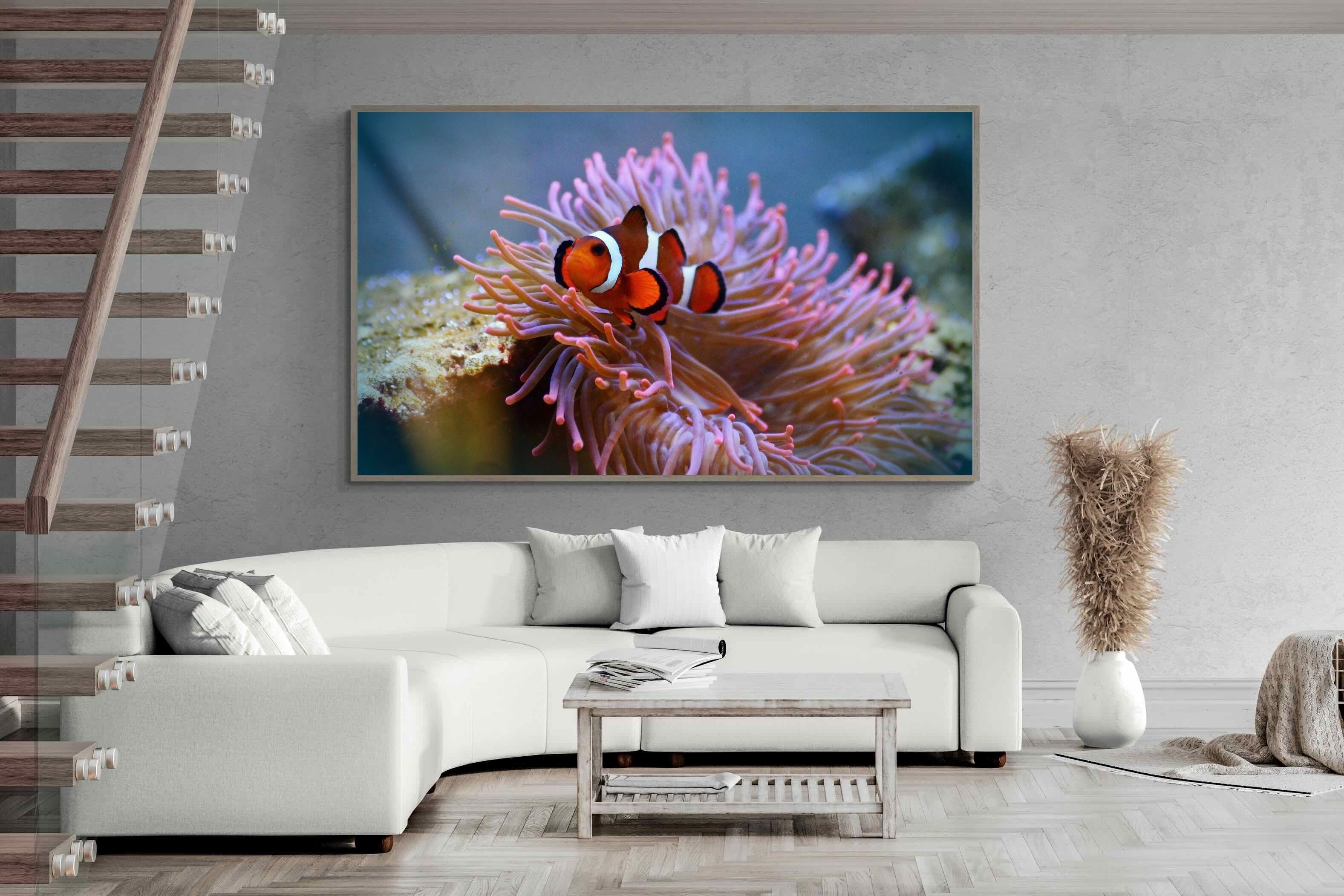 Pixalot Nemo