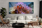 Pixalot Nemo