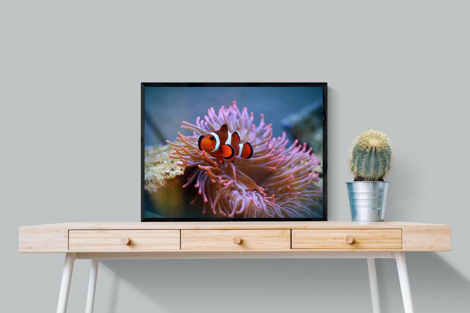Pixalot Nemo