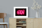 Pixalot ® Neon Ouf