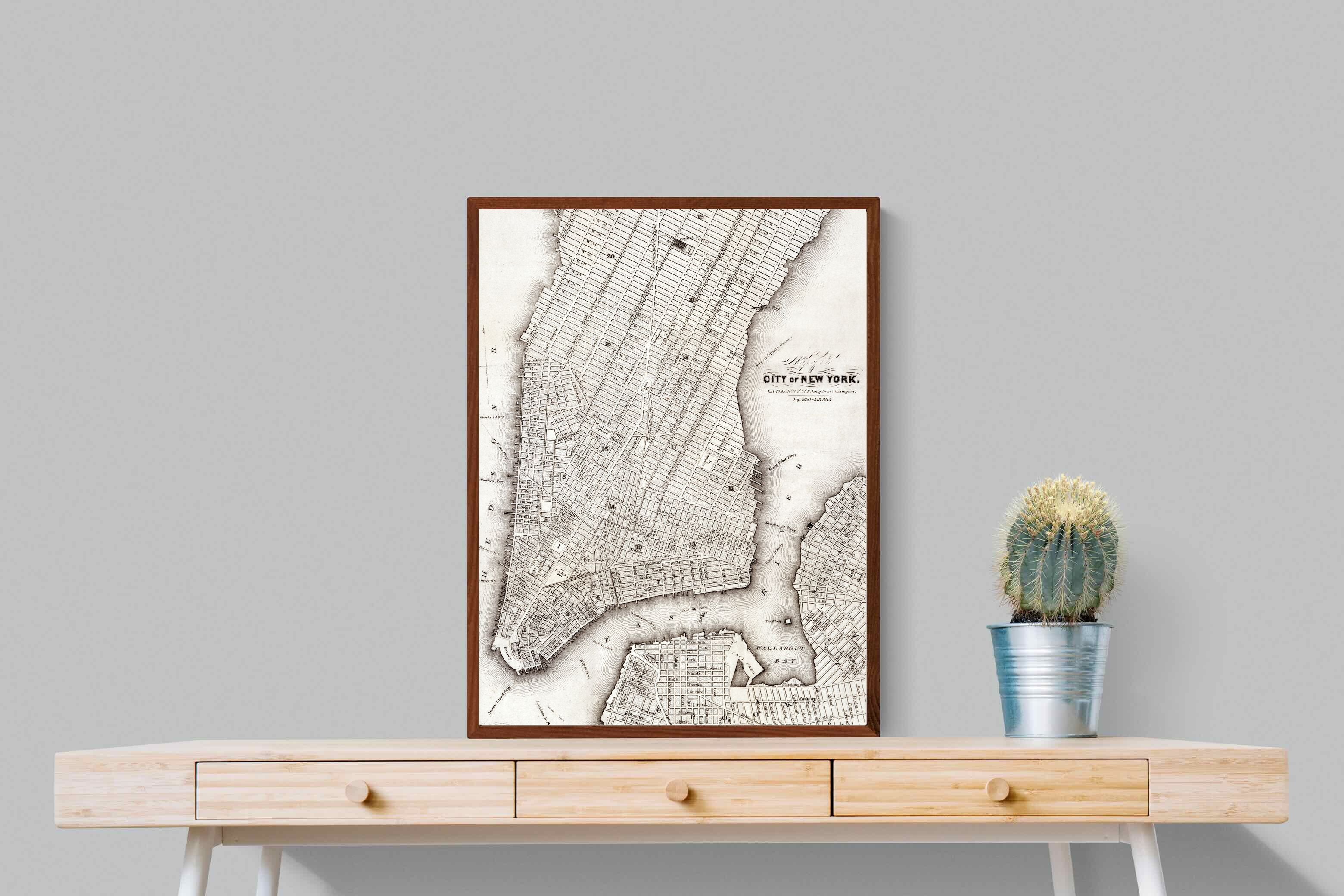 Pixalot New York 1850