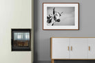 Pixalot ® Nguni Bull