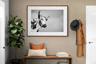 Pixalot ® Nguni Bull