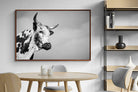 Pixalot ® Nguni Bull