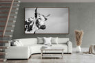 Pixalot ® Nguni Bull