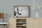 Pixalot ® Nguni Bull