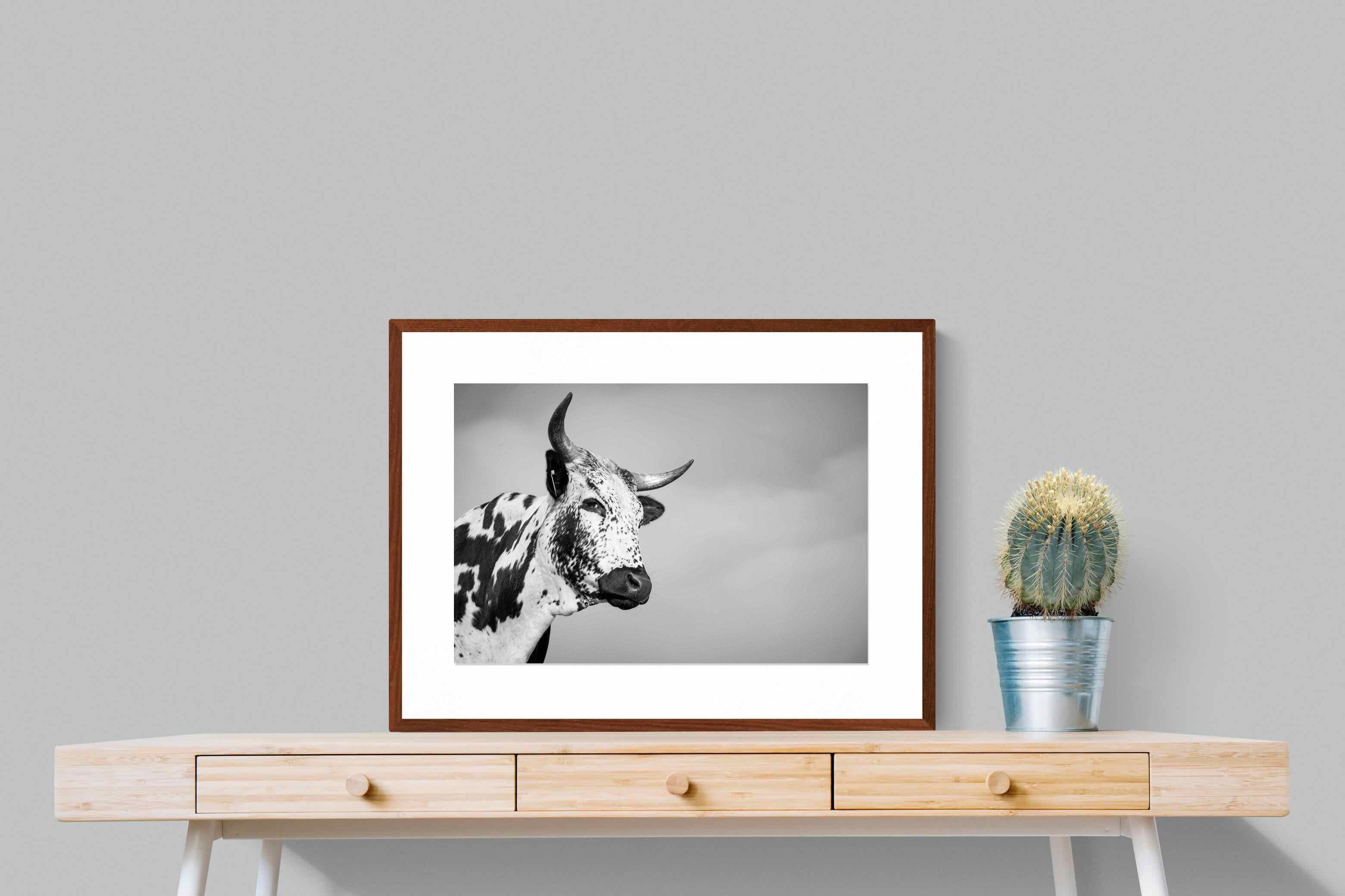 Pixalot ® Nguni Bull