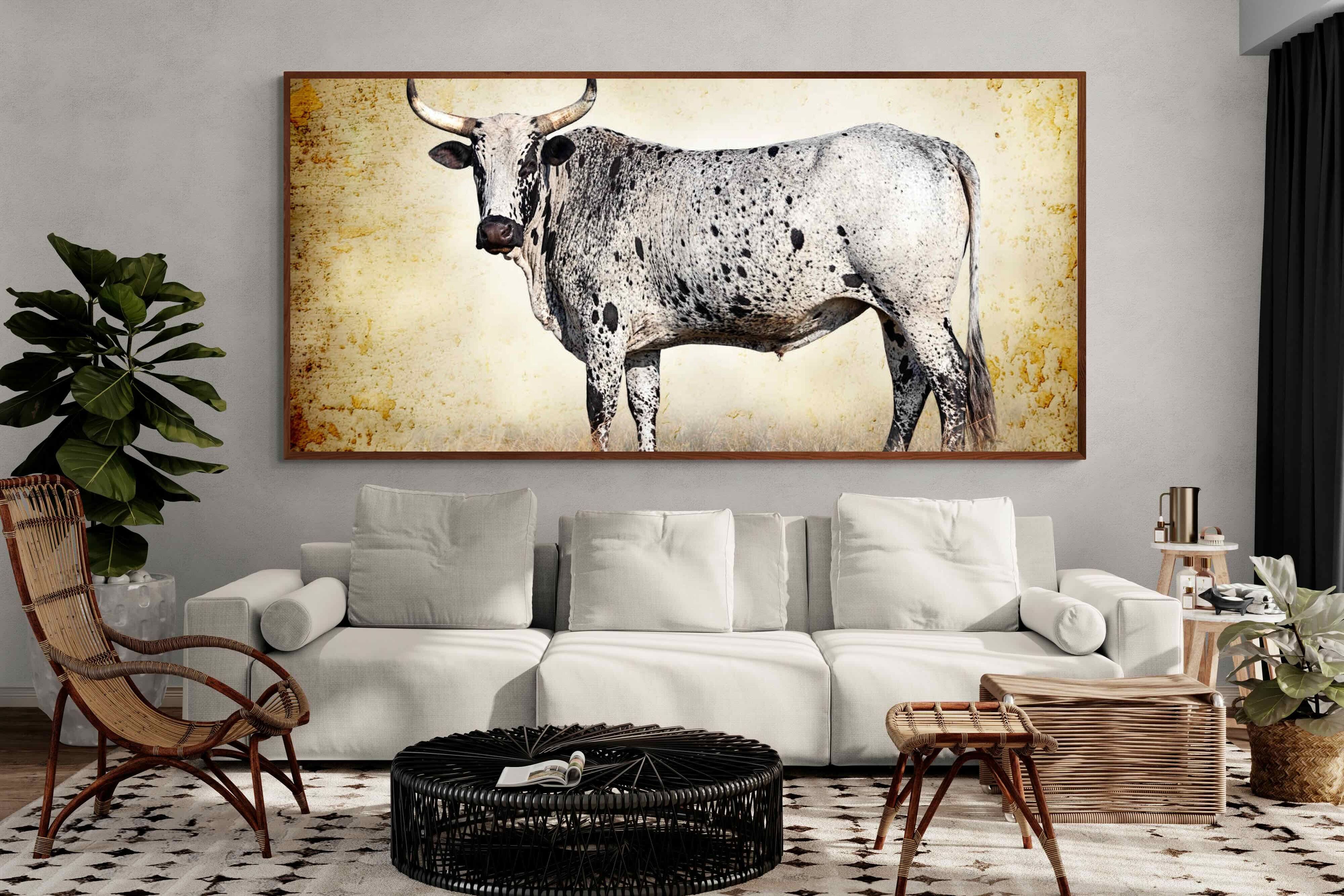 Pixalot ® Nguni Ox