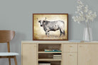 Pixalot ® Nguni Ox