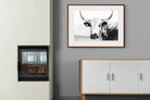 Pixalot ® Nguni