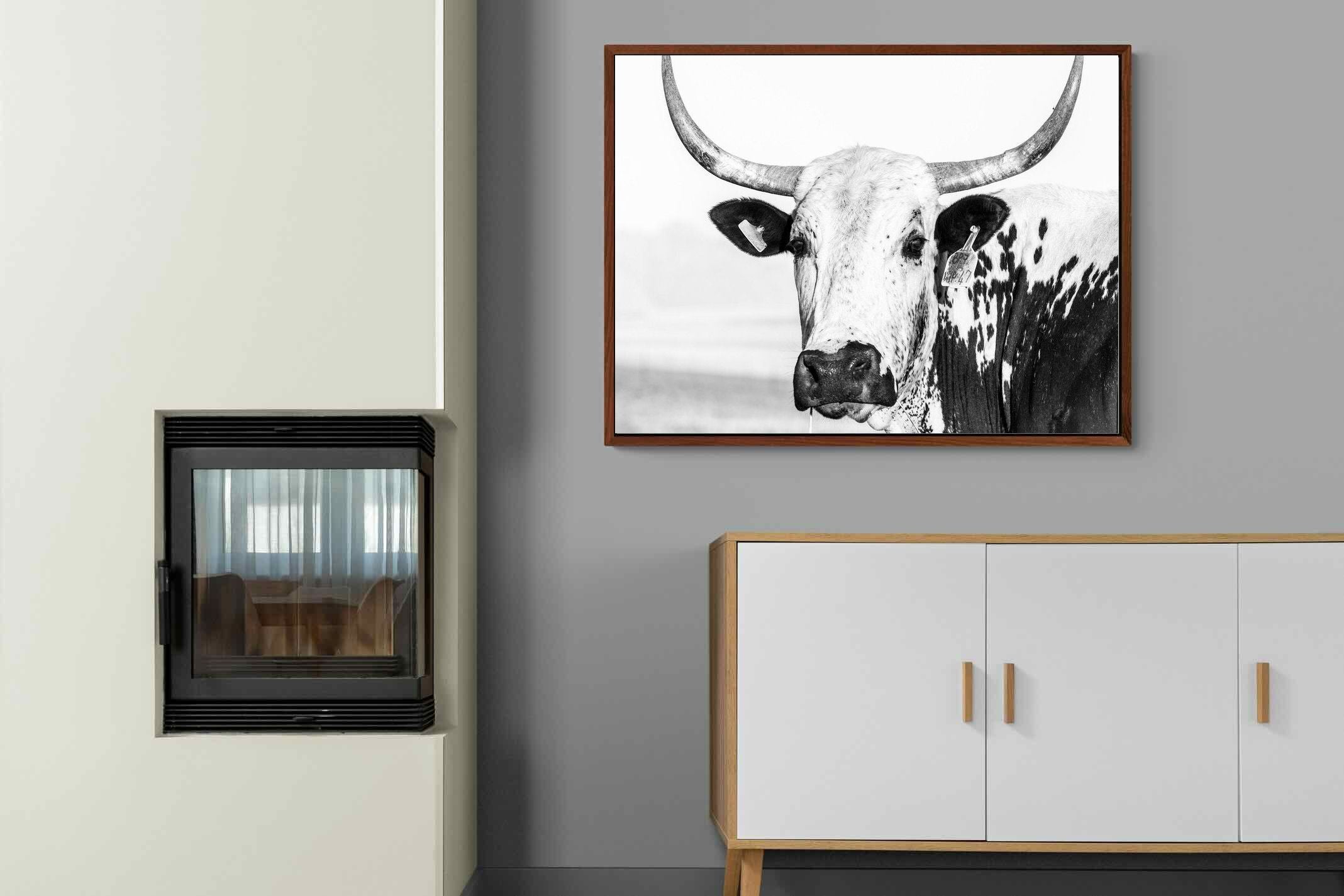 Pixalot ® Nguni