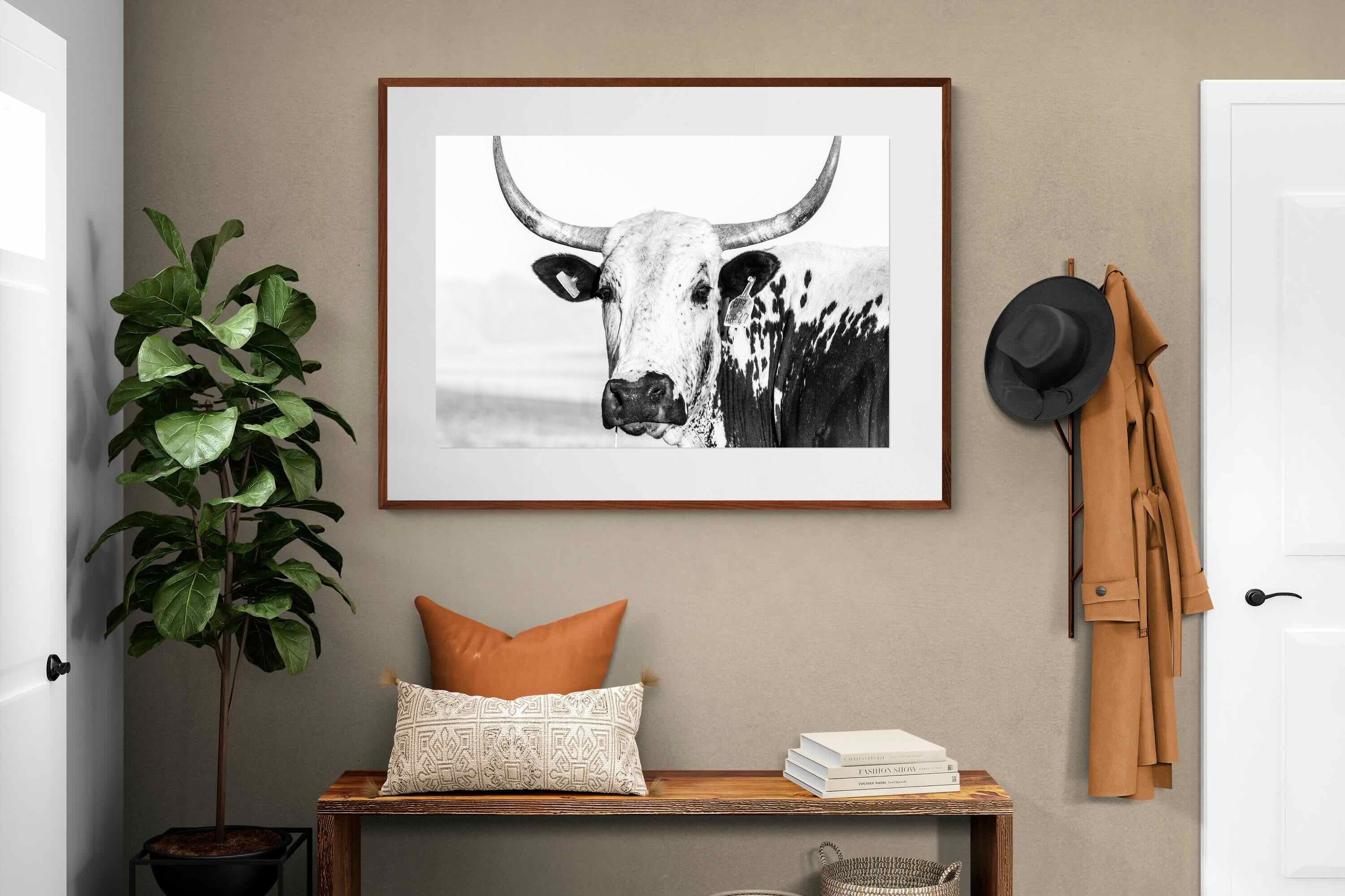 Pixalot ® Nguni