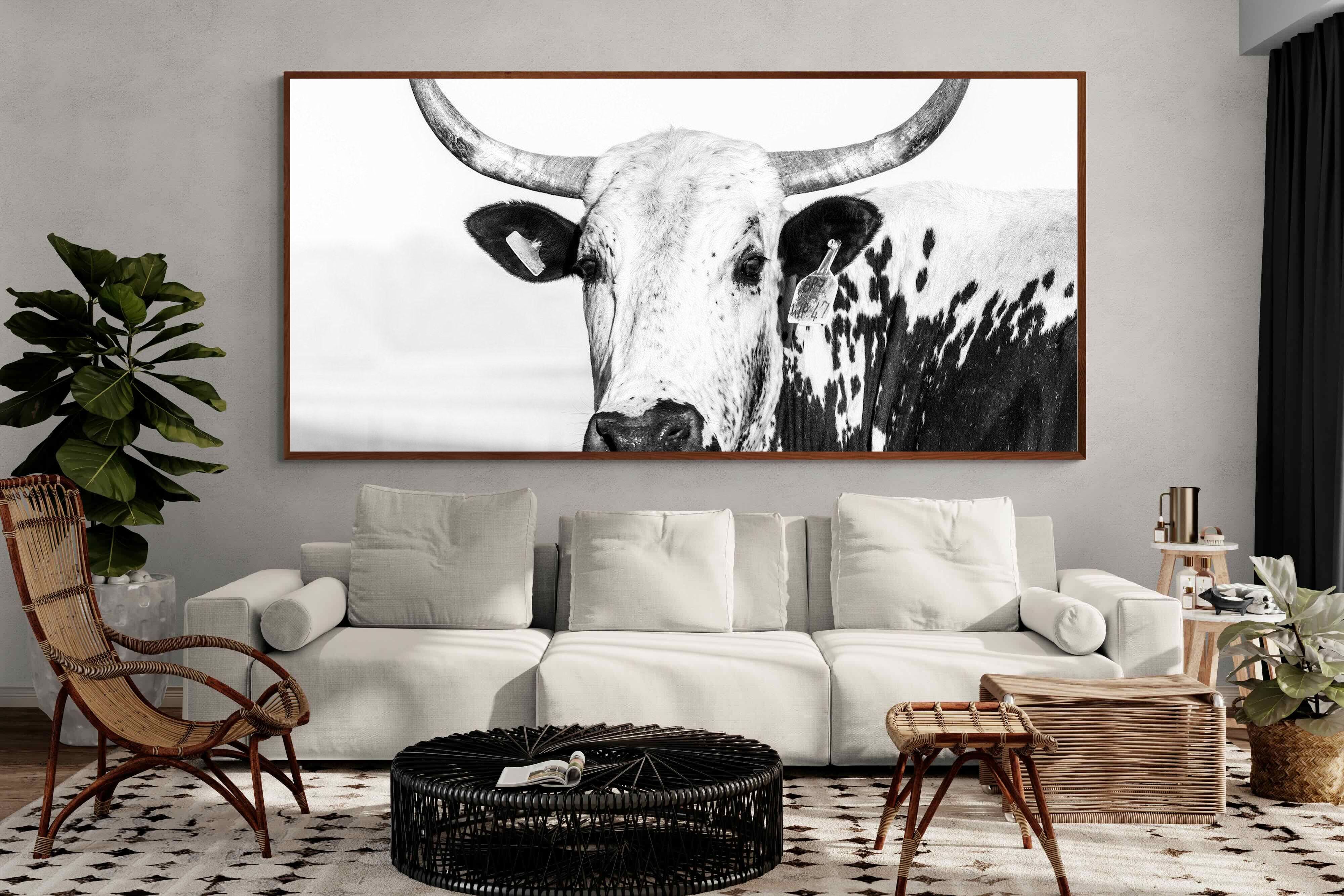 Pixalot ® Nguni