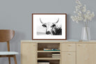 Pixalot ® Nguni