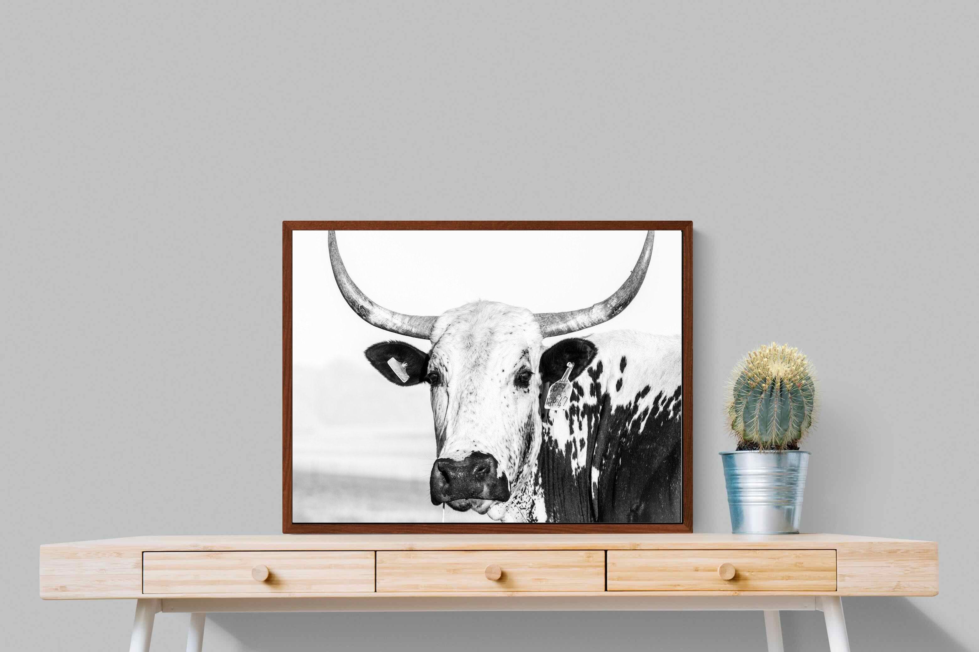 Pixalot ® Nguni
