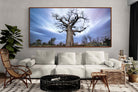 Pixalot ® Night Sky Baobab