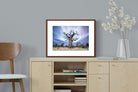 Pixalot ® Night Sky Baobab