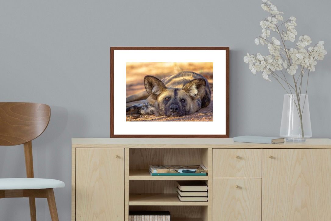 Pixalot ® Not So Wild Dog