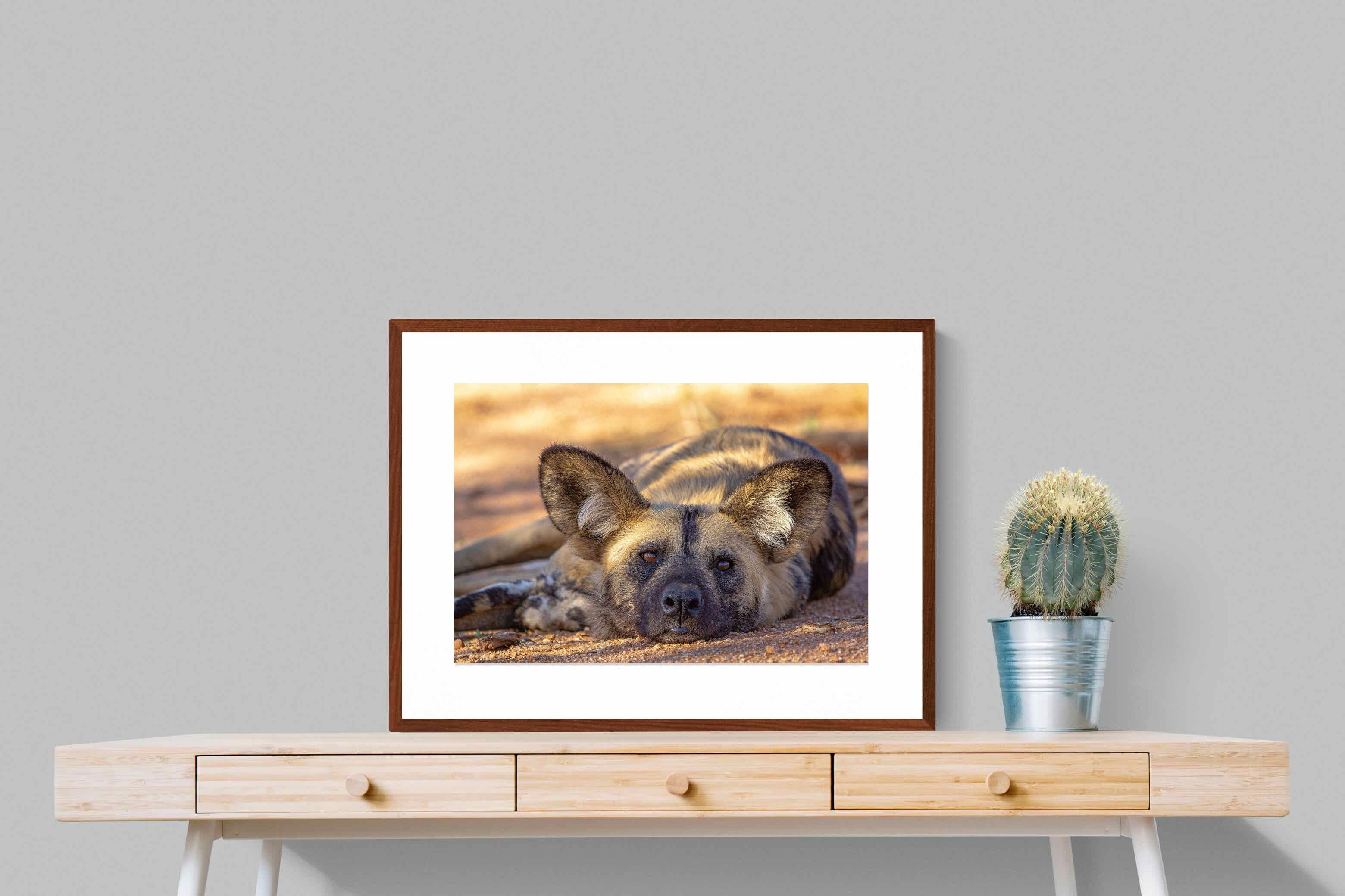 Pixalot ® Not So Wild Dog