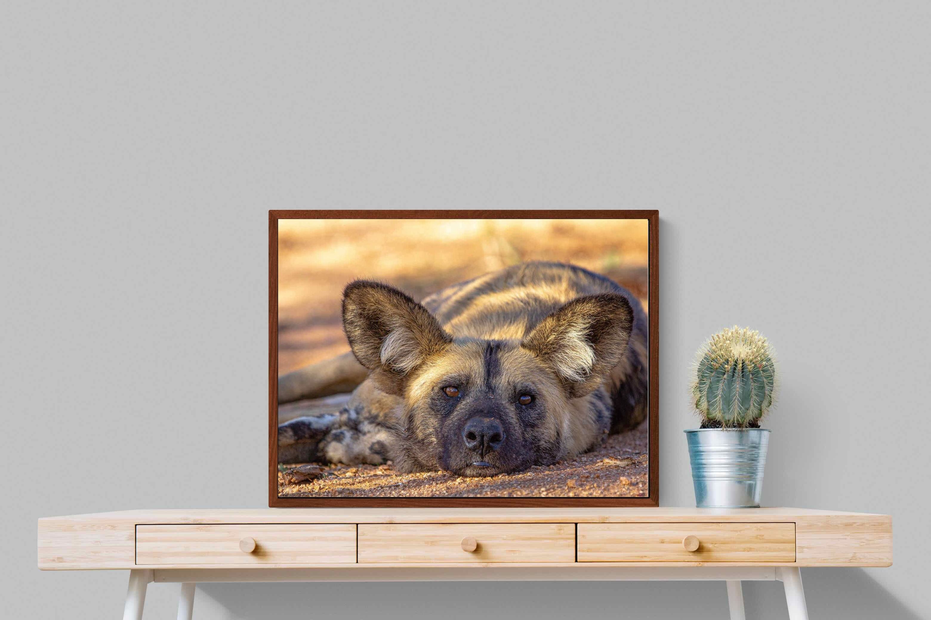 Pixalot ® Not So Wild Dog