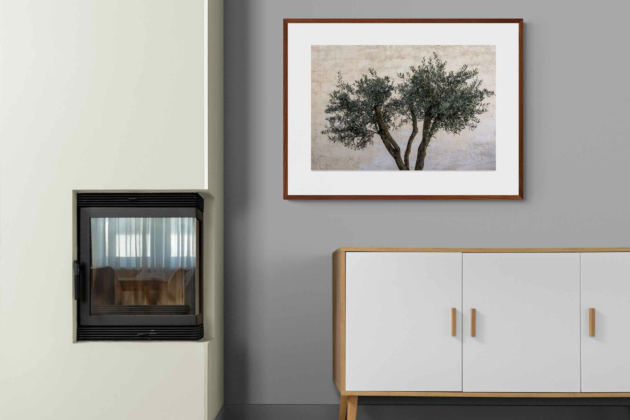 Pixalot Olive Trees Pair