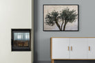 Pixalot Olive Trees Pair
