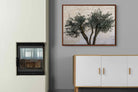 Pixalot Olive Trees Pair