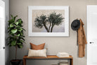 Pixalot Olive Trees Pair