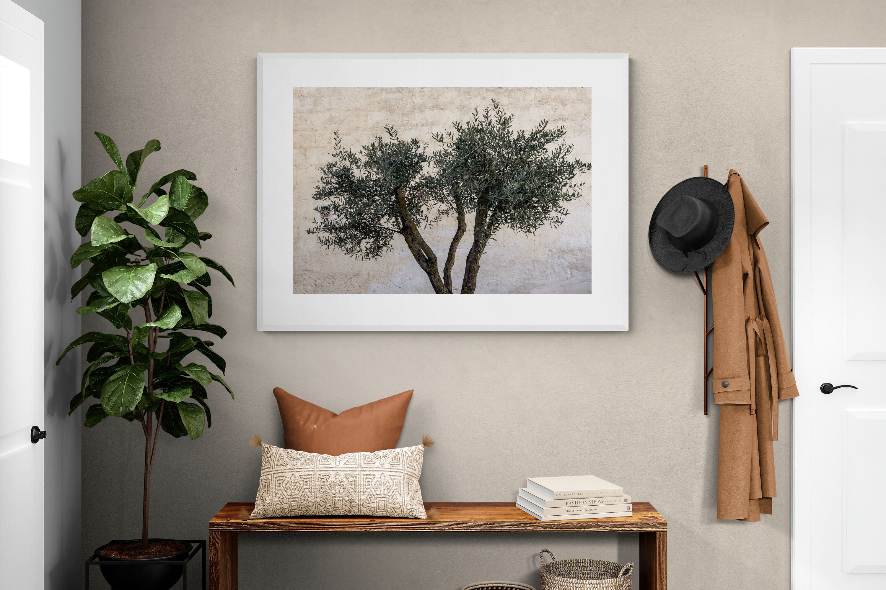 Pixalot Olive Trees Pair