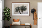 Pixalot Olive Trees Pair