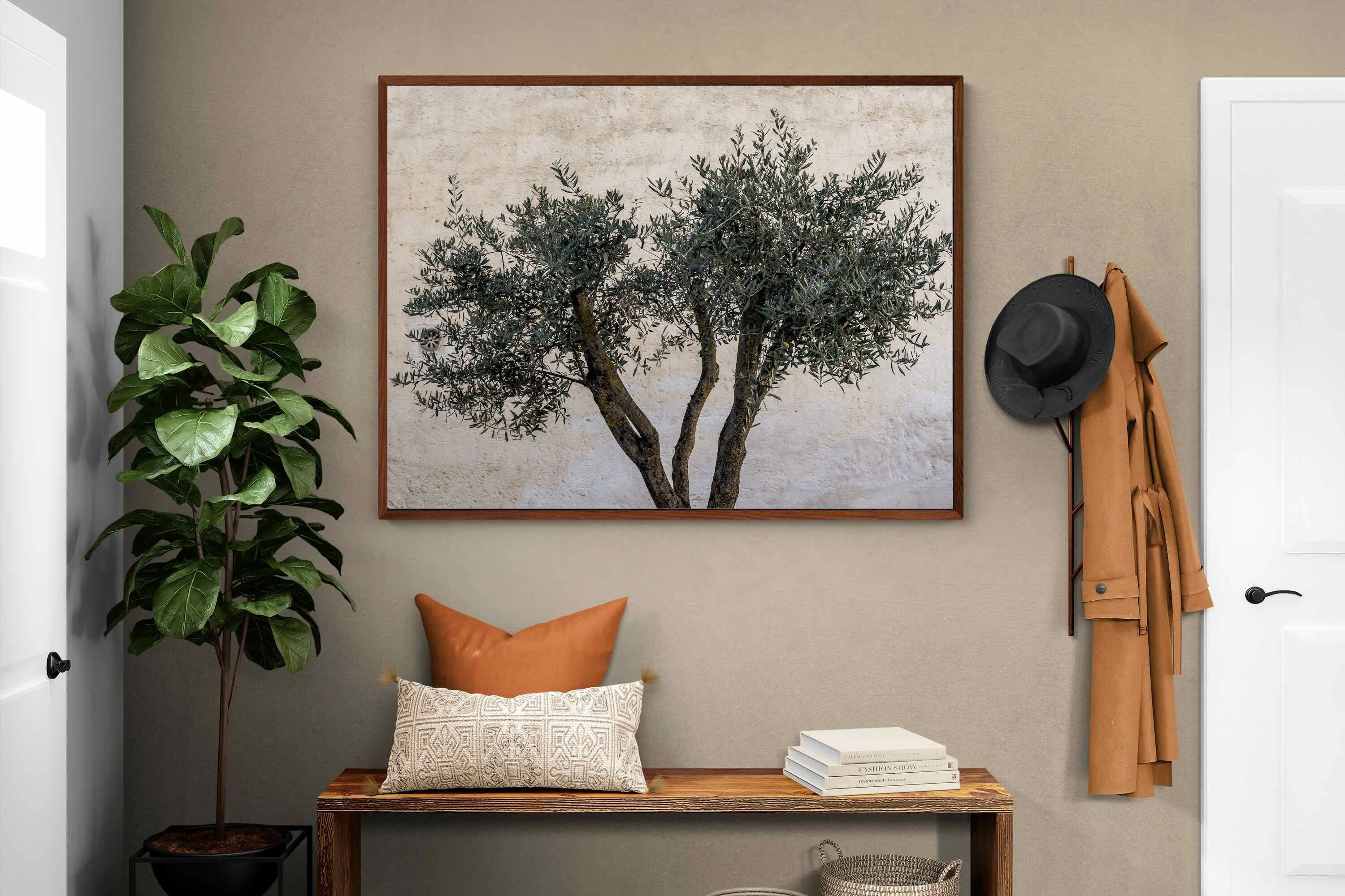 Pixalot Olive Trees Pair