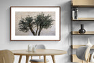 Pixalot Olive Trees Pair