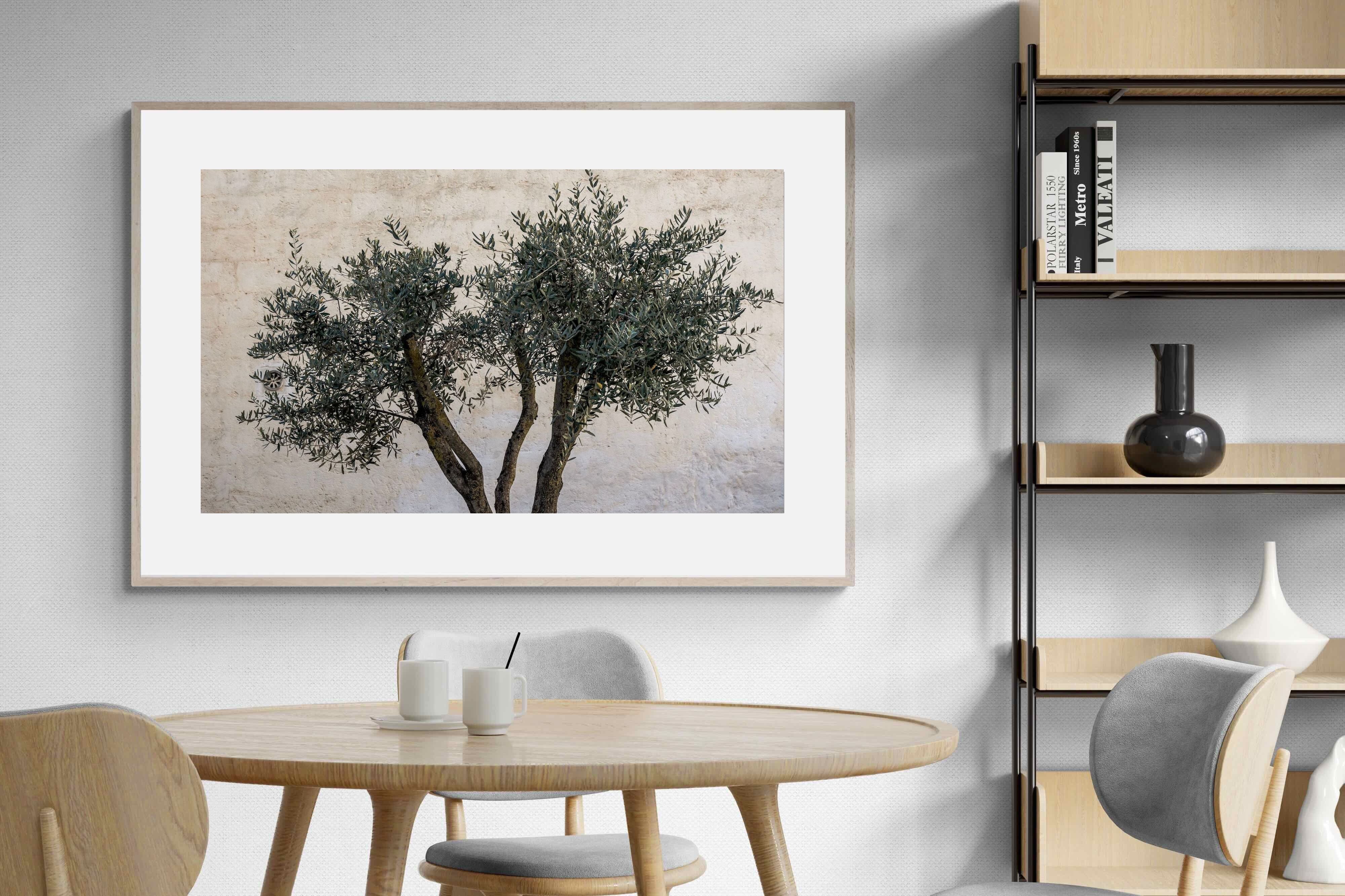 Pixalot Olive Trees Pair