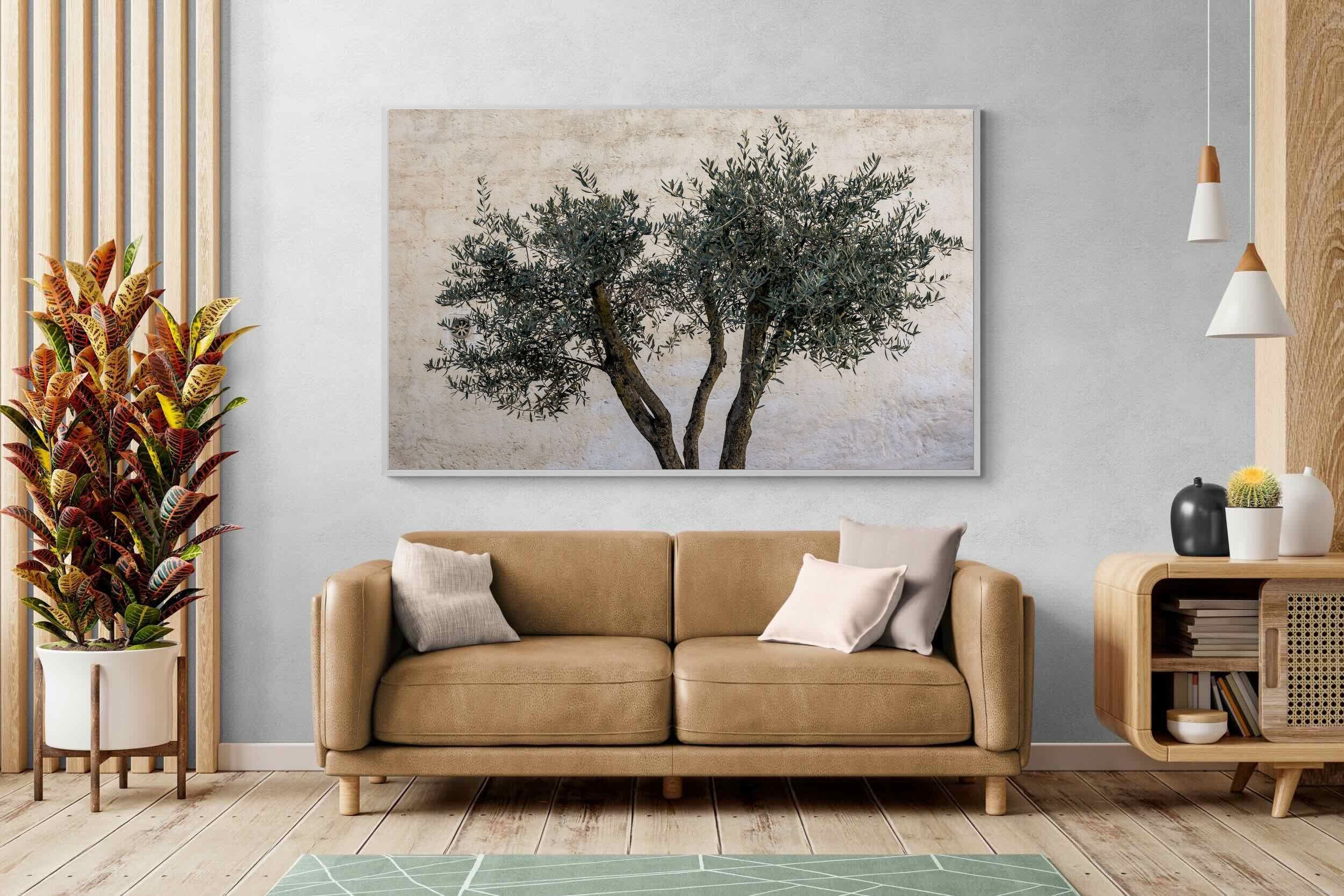 Pixalot Olive Trees Pair