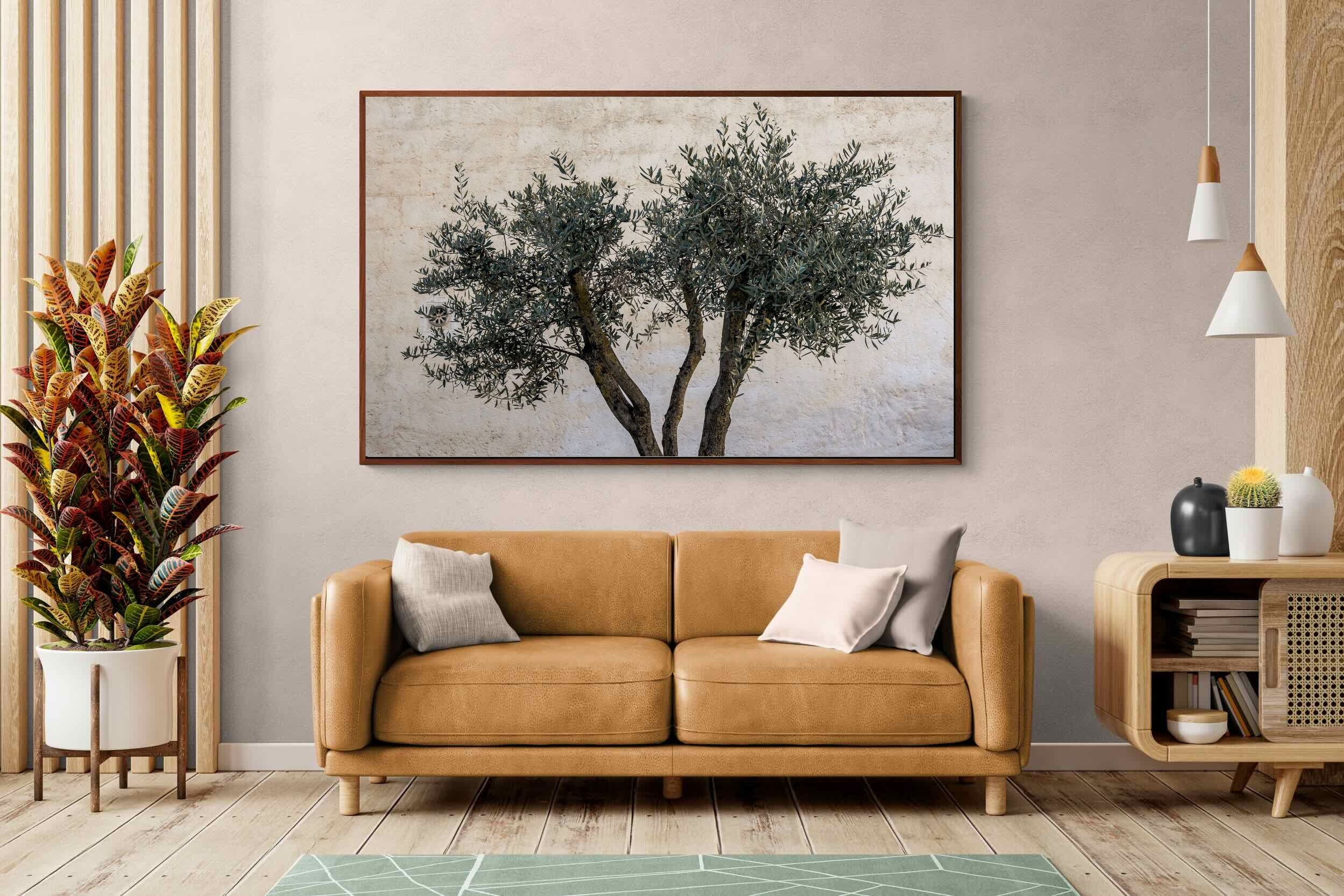 Pixalot Olive Trees Pair