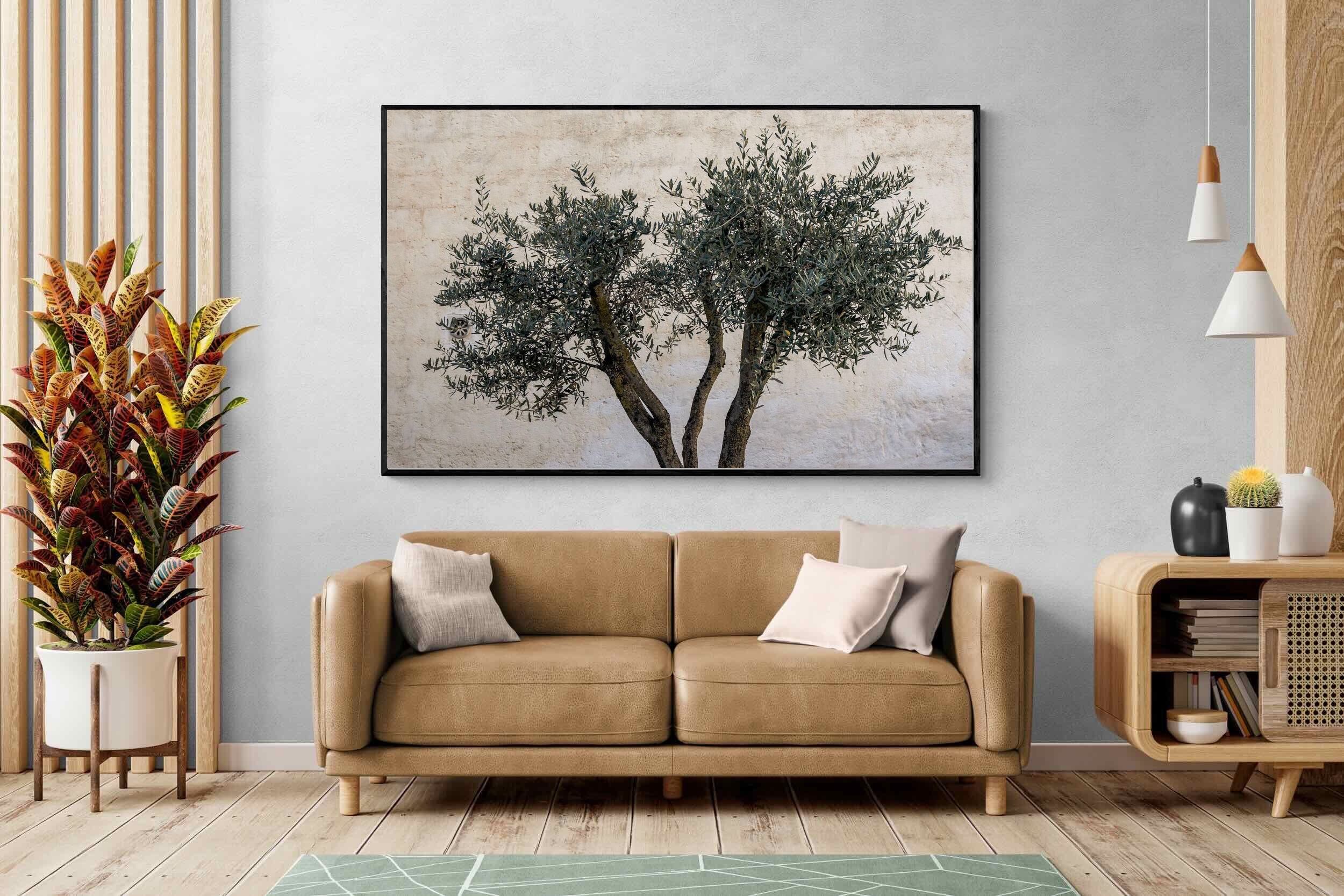 Pixalot Olive Trees Pair