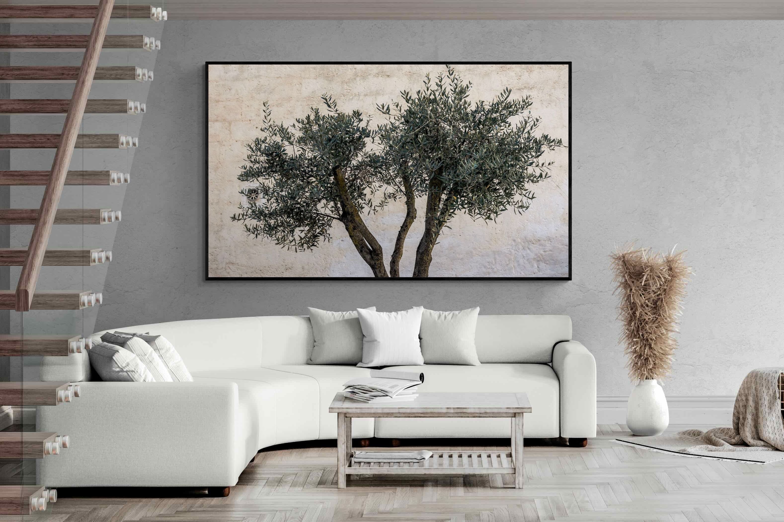 Pixalot Olive Trees Pair