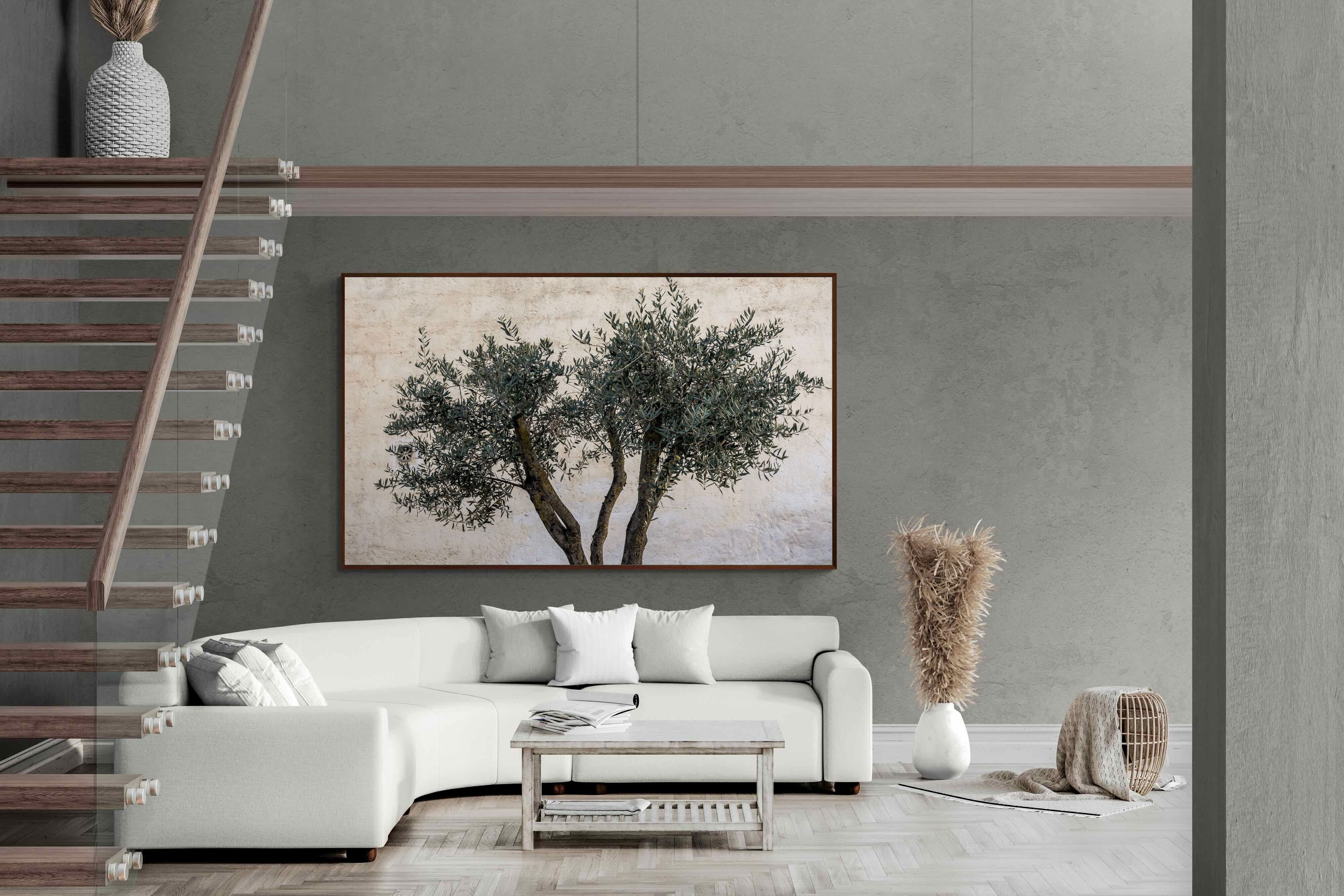 Pixalot Olive Trees Pair