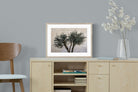 Pixalot Olive Trees Pair