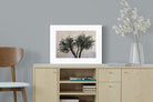 Pixalot Olive Trees Pair