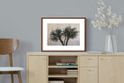 Pixalot Olive Trees Pair