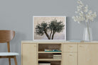Pixalot Olive Trees Pair