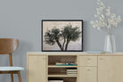 Pixalot Olive Trees Pair