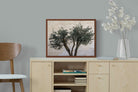 Pixalot Olive Trees Pair